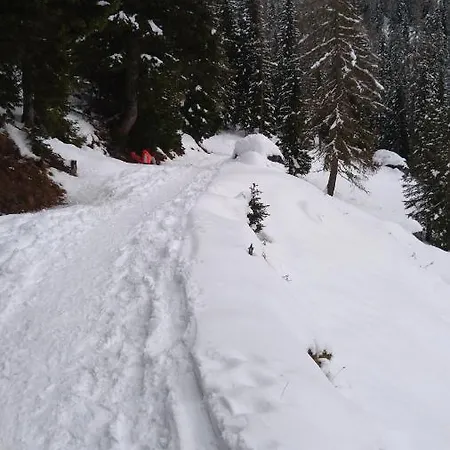 A 2,5 Km Da Lejlighed Alleghe